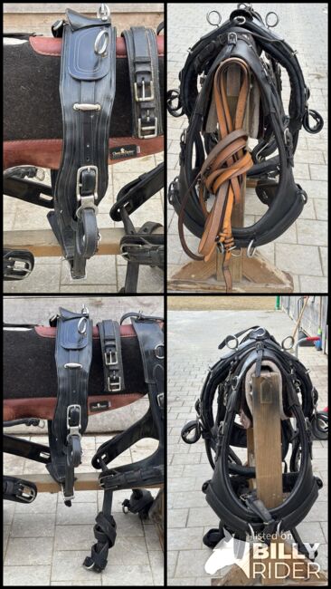 Kutschengeschirr für Pferde, Carina, Carriages, Hagelstadt, Image 5