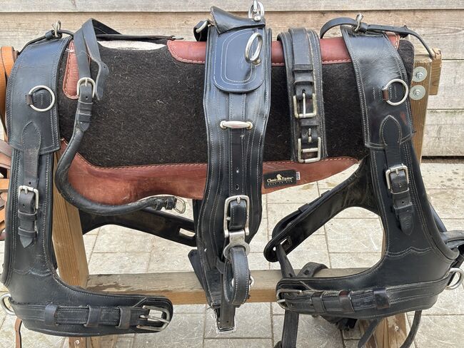 Kutschengeschirr für Pferde, Carina, Carriages, Hagelstadt
