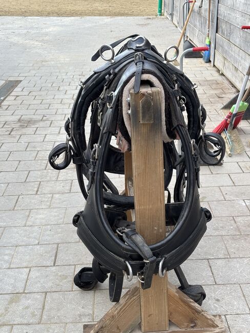 Kutschengeschirr für Pferde, Carina, Carriages, Hagelstadt, Image 3