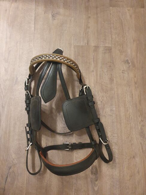 Kutschgeschirr, Fahrtrense, Kaltblut, Fine, Horse Harness, Leubsdorf