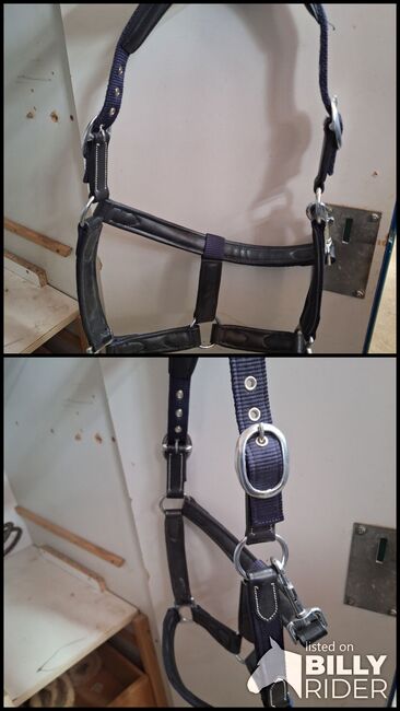 Robustes Lederhalfter dunkelblau, Marie, Halters, Mönchengladbach , Image 3