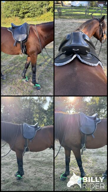 ROC Wanderreitsattel Dressur Inglish Mono E16 34, ROC Inglish Mono, Celina, Other Saddle, Gelenberg, Image 7
