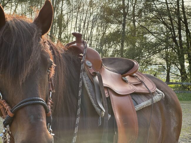 ROC Westernsattel Reiner RE16 34, ROC Reiner , Celina, Western Saddle, Gelenberg, Image 8