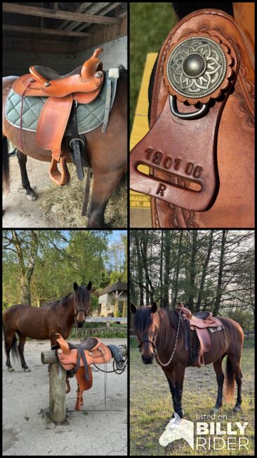 ROC Westernsattel Reiner RE16 34, ROC Reiner , Celina, Westernsattel, Gelenberg, Abbildung 10