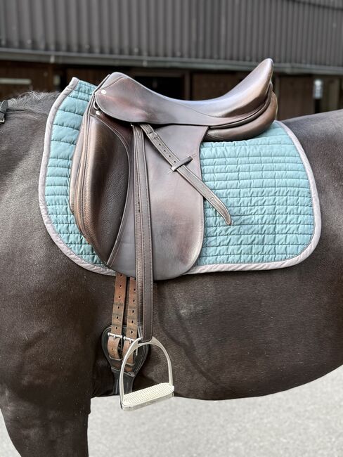 Röösli Dressursattel Classic Pilatus, Röösli  Classic Pilatus , Shiawaase, Dressage Saddle, Sarnen, Image 10