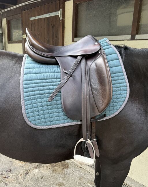 Röösli Dressursattel Classic Pilatus, Röösli  Classic Pilatus , Shiawaase, Dressage Saddle, Sarnen, Image 12
