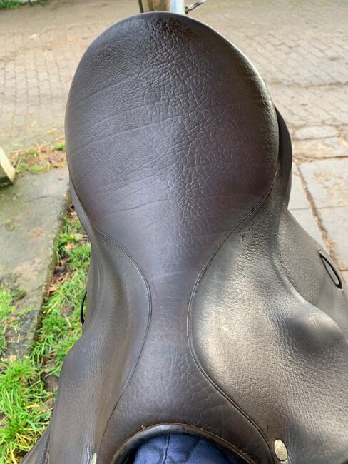 Röösli Sattel Pilatus, Röösli Pilatus, Sandra, Dressage Saddle, Rheinfelden, Image 4