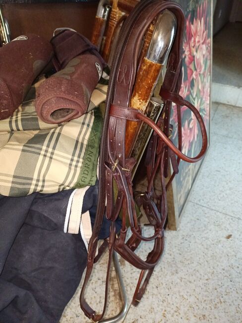 Rolled Flash Bridle with rubber reins, Shires  Adelfi, Carolyn Thow, Bridles & Headstalls, Alvarado, Image 2