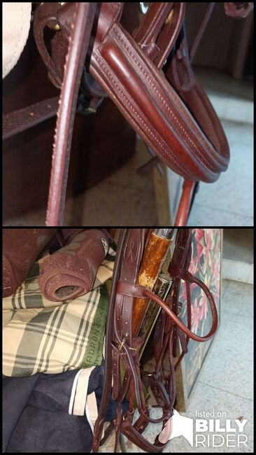 Rolled Flash Bridle with rubber reins, Shires  Adelfi, Carolyn Thow, Bridles & Headstalls, Alvarado, Image 3