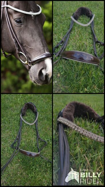 Rundgenähte Trense, Premiera Novara, Isi, Bridles & Headstalls, Mecklenburg Vorpommern , Image 5