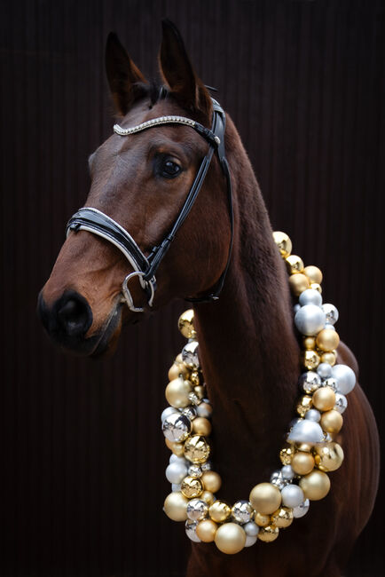 Rundgenähte Trense, schwarz Lack, weiß unterlegt, Magic Horsedesign White Magic, Nadine, Bridles & Headstalls, Bingen, Image 3