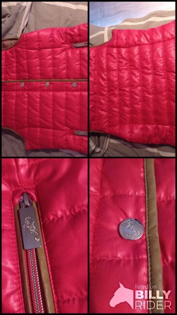 Rot, braune Weste, Cavallino Marino, Anna, Riding Jackets, Coats & Vests, Gnarrenburg, Image 8