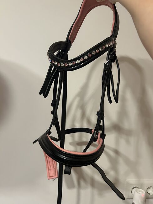 Rosa Trense (P), Valentina, Bridles & Headstalls, Taufkirchen a. d. Trattnach