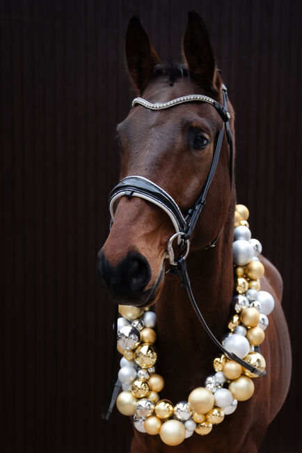 Rundgenähte Trense, schwarz Lack, weiß unterlegt, Magic Horsedesign White Magic, Nadine, Bridles & Headstalls, Bingen, Image 2