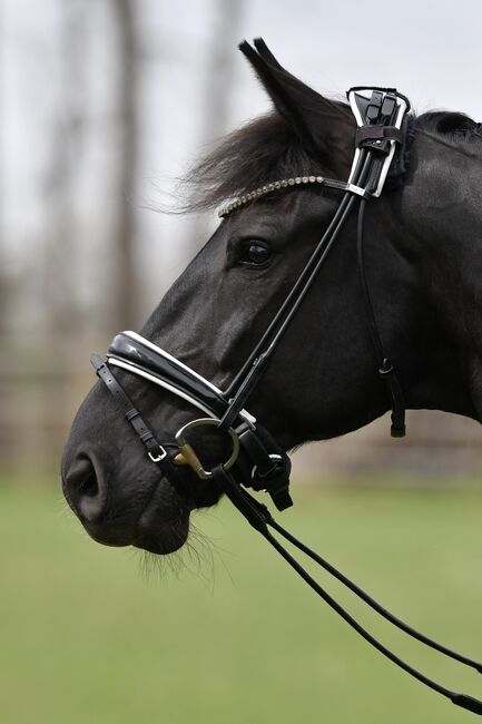 Royal h Trense + Zügel, rundgenäht, Gr. WB, Royal h Schmuckunikate , Melissa Högenauer , Bridles & Headstalls, Paunzhausen 