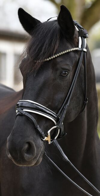 Royal h Trense + Zügel, rundgenäht, Gr. WB, Royal h Schmuckunikate , Melissa Högenauer , Bridles & Headstalls, Paunzhausen , Image 2