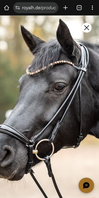 Royal Horse Trense, eingenäht, braun, Warmblut, Kroko, Royal Horse Sir chaka royal 2.0, Eva, Trensen, Haltern am See 