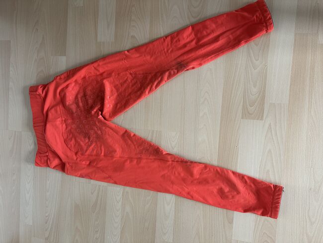 Royal Horsemen Reitleggings RedOrange, Royal Horsemen Reitleggings , Lea, Breeches & Jodhpurs, Weinheim, Image 5