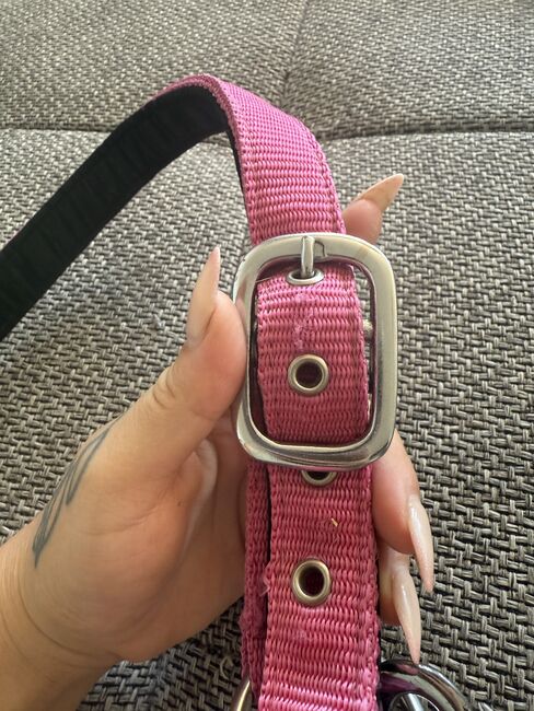 Pinked Crownhorse Halfter Gr.Cob, Simone Just, Halters, St.Ingbert , Image 2