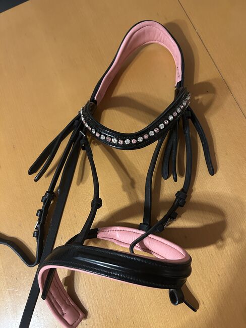 Rosa Trense (P), Valentina, Bridles & Headstalls, Taufkirchen a. d. Trattnach, Image 3