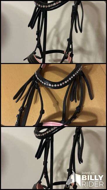 Rosa Trense (P), Valentina, Bridles & Headstalls, Taufkirchen a. d. Trattnach, Image 4