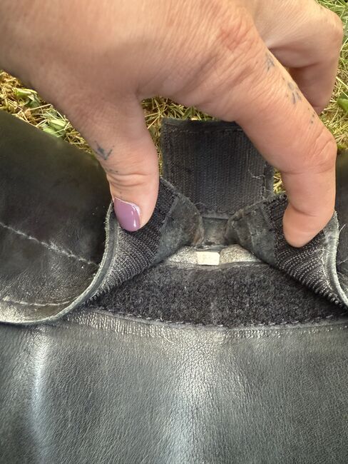 Signum Rose, Signum Rose, Claudia Weise, Dressage Saddle, Buttenwiesen, Image 16