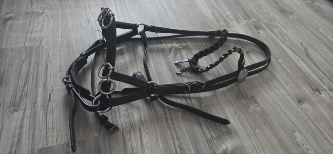 Kappzaum Größe WB/Full, Nina Kaiserauer , Lonżowanie, Vöhringen