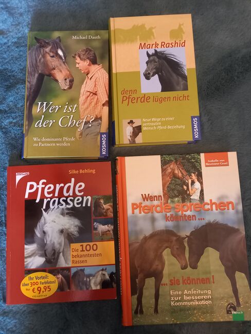 Diverse Pferdebücher, Monika, Książki, Teising, Image 2