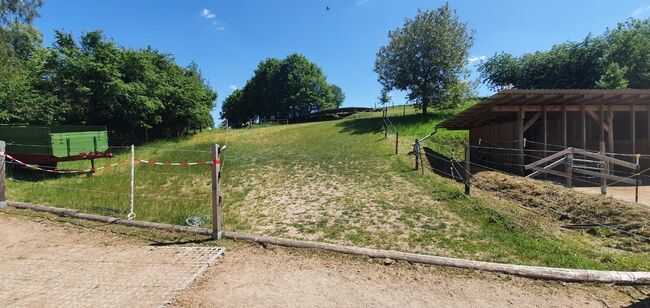 Bewegungstall Offenstall hat Platz für zwei Wallache frei, AL, Wolna stajnia, Lettenreuth, Image 12