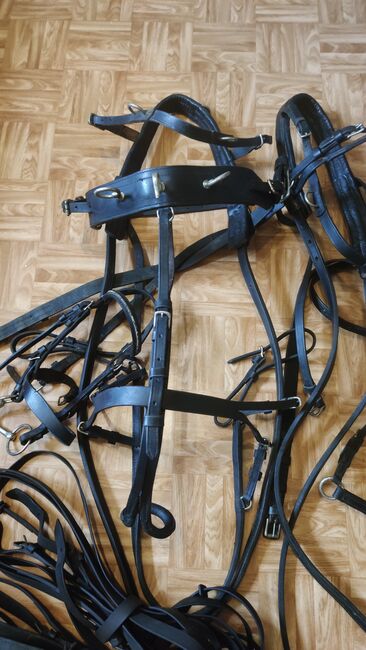 Tausche/Verkaufe Shetty zweispännergeschirr, Nicht bekannt Nicht bekannt , F.R, Horse Harness, Brandenburg, Image 5