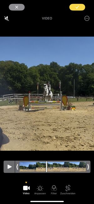 Wallach zu verkaufen, Tanja , Horses For Sale, Rees, Image 9