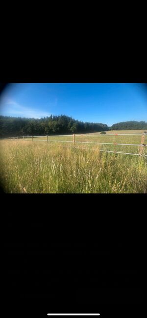 Reitplatz Paddock Koppelzaun komplett, Zeynep, Horse Shelters & Tents, Freihalden 