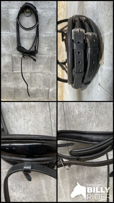 Rundgenähte Lacktrense, Schwedisch kombinierte Trense, Lisa Holmqvist , Bridles & Headstalls, Buxtehude , Image 6