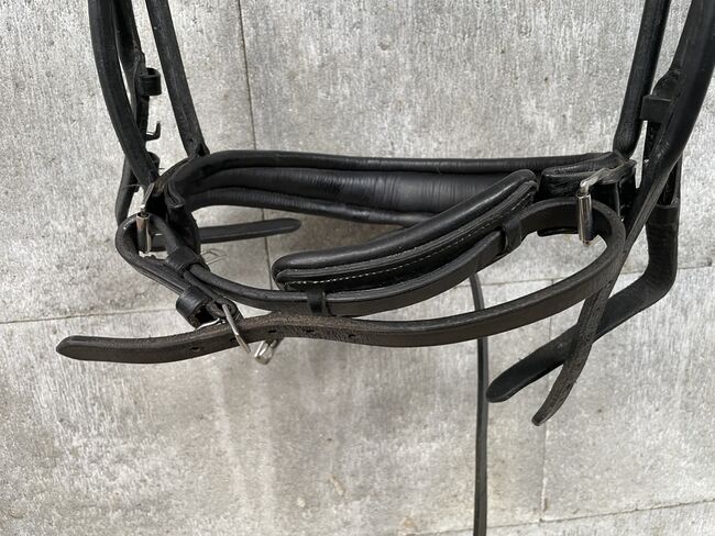 Rundgenähte Lacktrense, Schwedisch kombinierte Trense, Lisa Holmqvist , Bridles & Headstalls, Buxtehude , Image 4