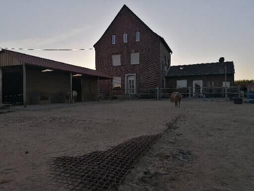 Rentnerplatz für Pony oder Pferd, H. Lange , Horse Stables, Mönchengladbach, Image 5