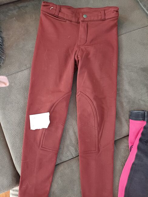 Reitsachen, Keine Ahnung  Keine Ahnung , daniela, Children's Breeches & Jodhpurs, Kleinwilfersdorf, Image 4