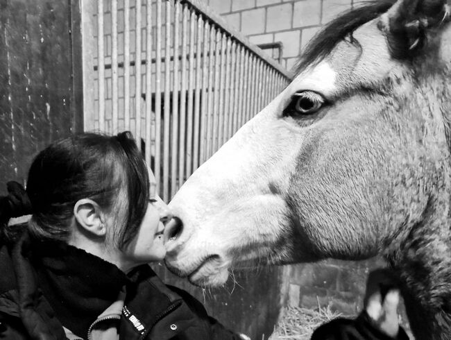 Zuverlässige, freundliche, gewissenhafte Arbeiterin sucht Job, Anne, Poszukiwanie Pracy, Barleben Meitzendorf