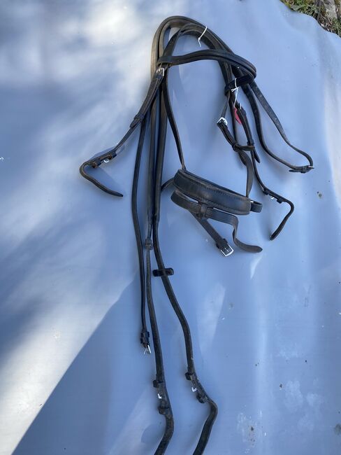 Sabre X full Bridle, Sabre, Zoe Chipp, Bitless Bridles, Weymouth, Image 2