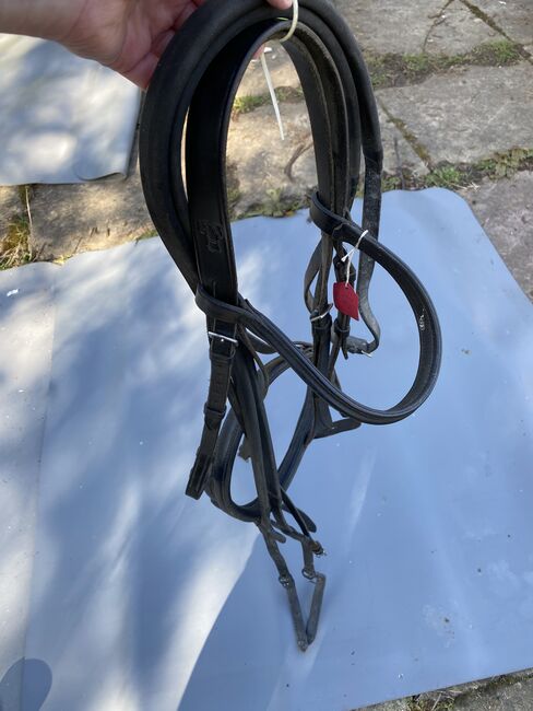 Sabre X full Bridle, Sabre, Zoe Chipp, Bitless Bridles, Weymouth, Image 3