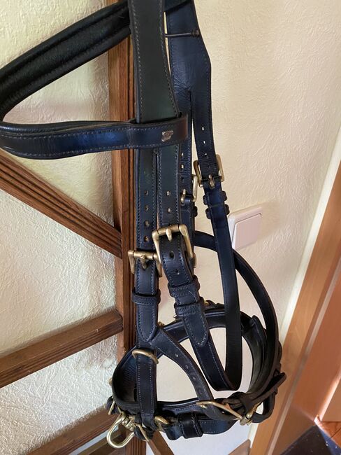 Sabro Kappzaum in schwarz Gr. VB sehr guter Zustand, Sabro  Kappzaum , Elke Chudzinski, Bitless Bridles, Saarlouis , Image 4