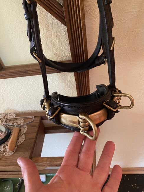 Sabro Kappzaum in schwarz Gr. VB sehr guter Zustand, Sabro  Kappzaum , Elke Chudzinski, Bitless Bridles, Saarlouis , Image 6