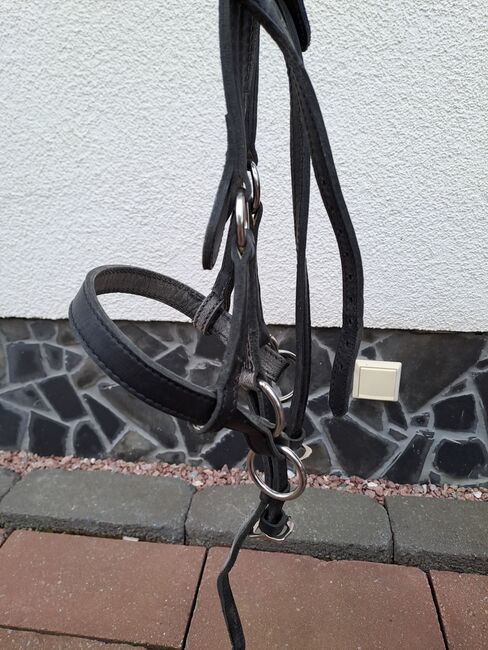 Sabro Sidepul schwarz WB, Sabro, Nadine, Bitless Bridles, Vettweiß, Image 4