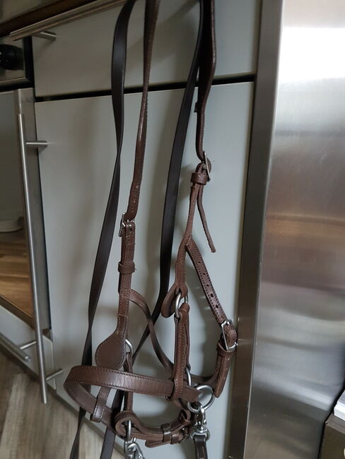 Sabro Sidepull neuwertig Größe VB, Sabro  Sidepull, Alexandra , Bitless Bridles, Weingarten (Baden), Image 3