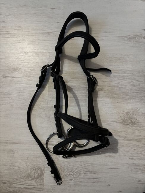 Sabro Trense, Sabro, Lea, Bridles & Headstalls, Adelebsen
