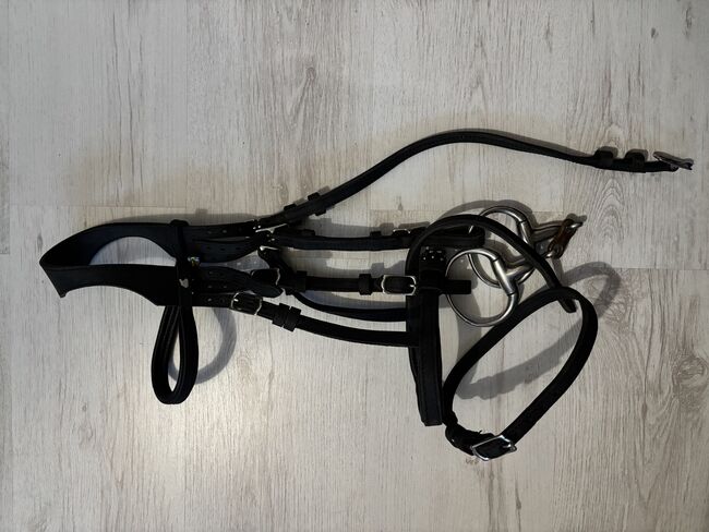 Sabro Trense, Sabro, Lea, Bridles & Headstalls, Adelebsen, Image 4