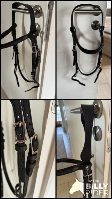 SABRO Trense ohne Sperrriemen Gr. WB, Sabro , Kitty Nedev, Bridles & Headstalls, Kall, Image 8