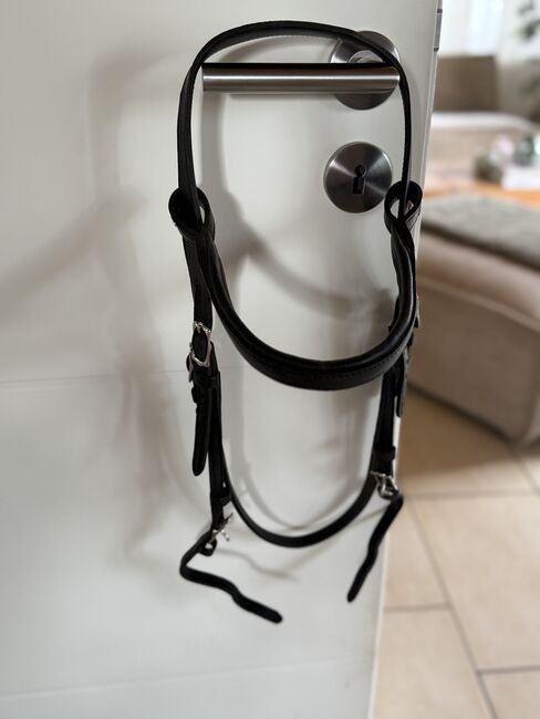 SABRO Trense ohne Sperrriemen Gr. WB, Sabro , Kitty Nedev, Bridles & Headstalls, Kall, Image 2