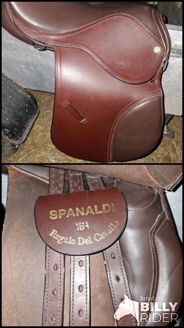 Sattel 17,5, Spanaldi, Christina , All Purpose Saddle, Aken, Image 3