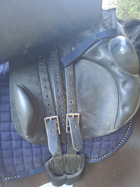 SADDLE Kentaur, Kentaur Jupiter, Neja, All Purpose Saddle, tolmin, Image 3