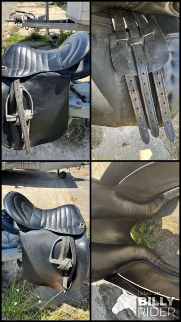 Sattel Kaltblut, Loesdau Goliath, Amy, Other Saddle, Hille, Image 7